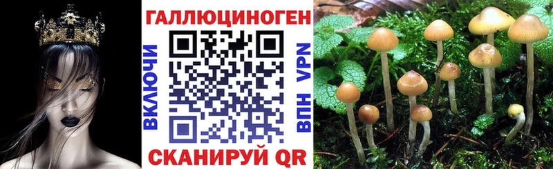 MEGA как зайти  Кондрово  Галлюциногенные грибы Cubensis 